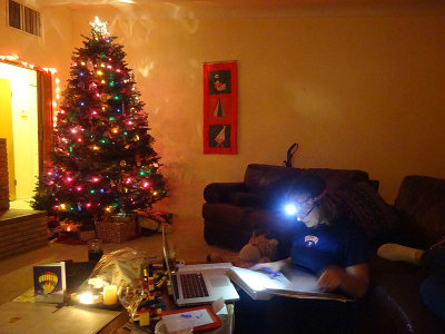 Planning Christmas menus (in the dark)