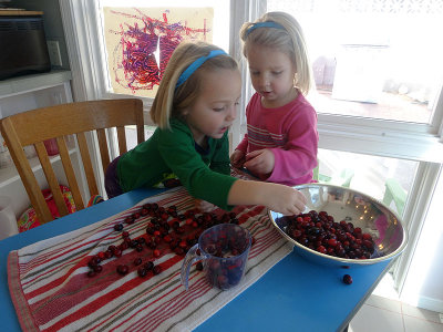 Prepping cranberries for Christmas dinner