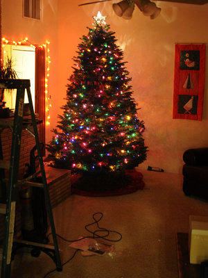 Our tree is ready!