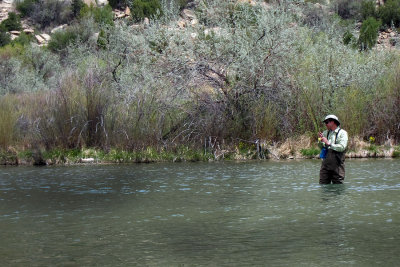 Matt's trout is jumping; can you see it?