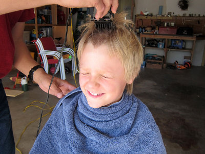 Bravely facing the clippers