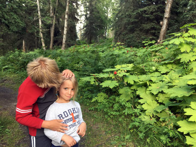 North of Kenai, another hike