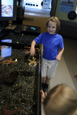 KJ explores the touch tank