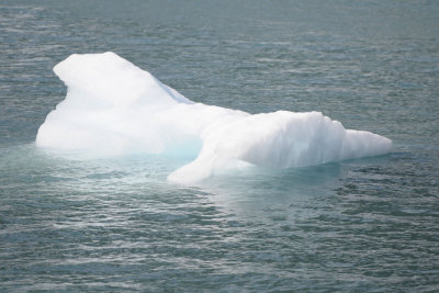 Little iceberg
