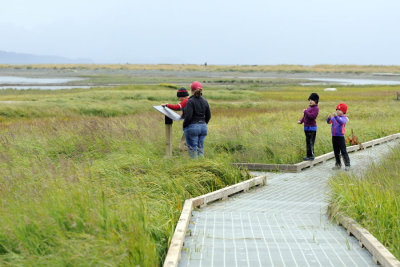 Boardwalk through the intertidal basin