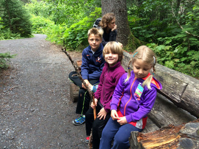 Log bench
