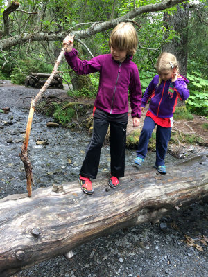 Log bridge