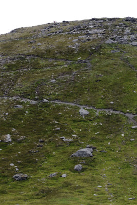 July 2016: Alaska, Hatcher Pass