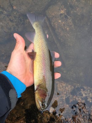another cutthroat