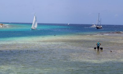 g9/07/449707/3/155799036.sxXGpzmX.jpg