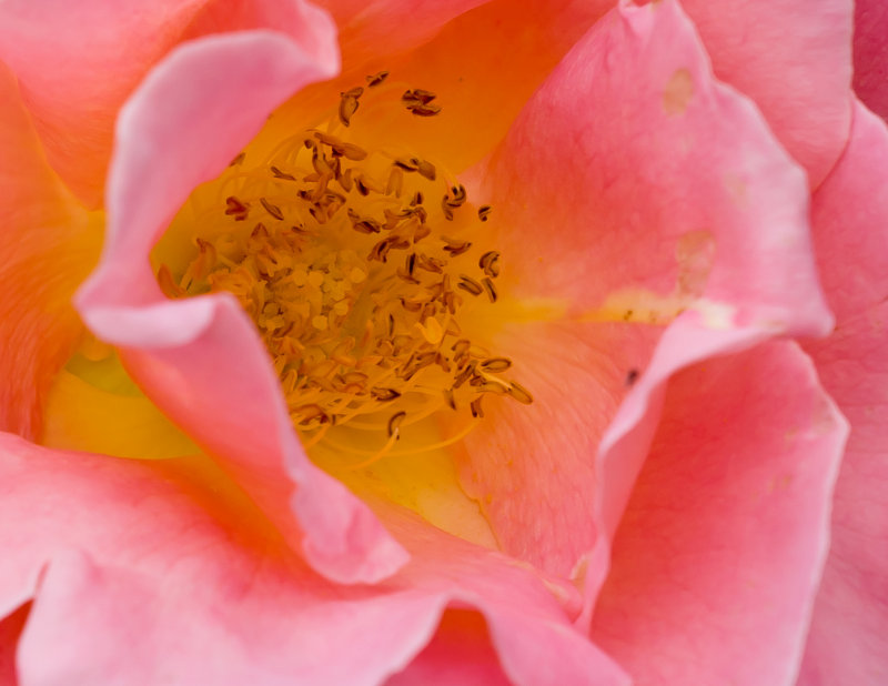 DSC01881bwb.jpg