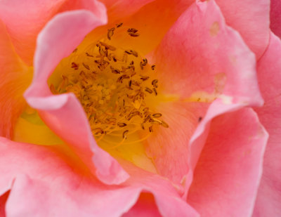 DSC01881bwb.jpg
