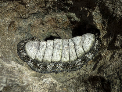 PA170430.jpg