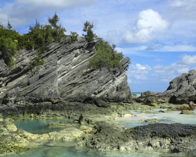 PA170438.jpg