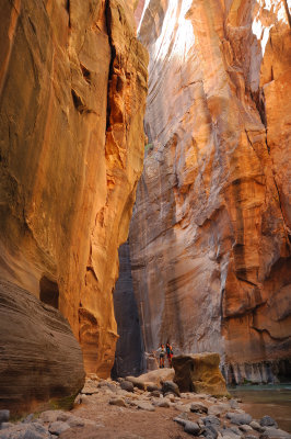 D2X_1166.jpg