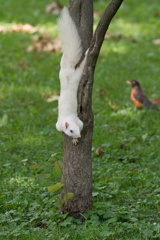 Web IMG  2141.jpg