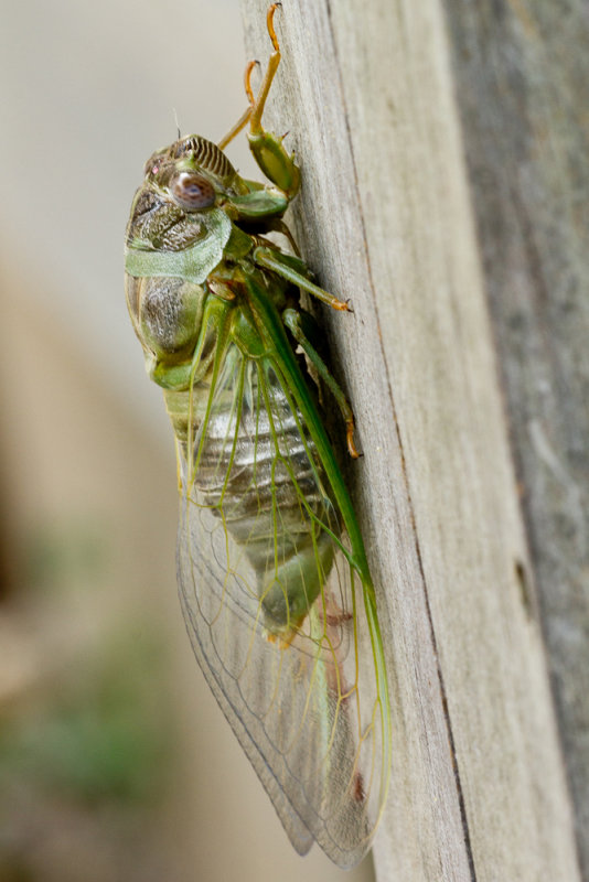 Web IMG_3600.jpg
