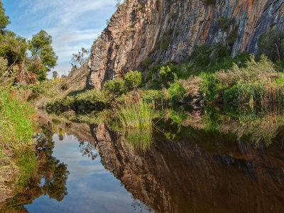 Connecting with nature _ by Dennis