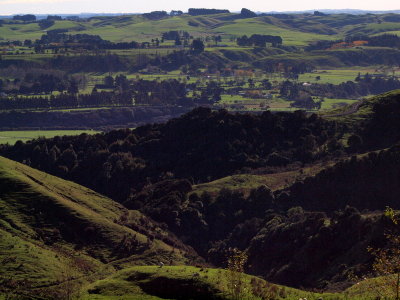 g9/07/527607/3/150644948.T83rinnM.jpg