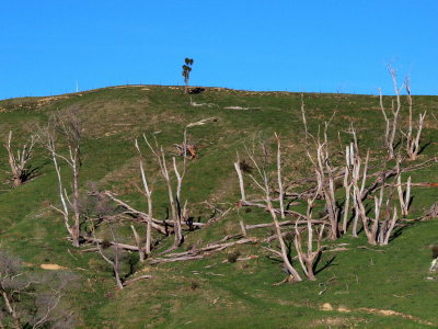 g9/07/527607/3/150644955.RoDHUceK.jpg
