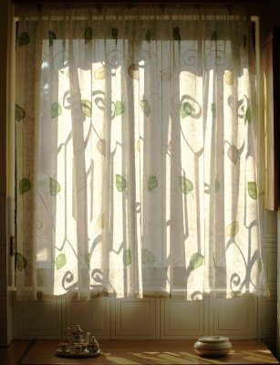 curtain shadows - Barry