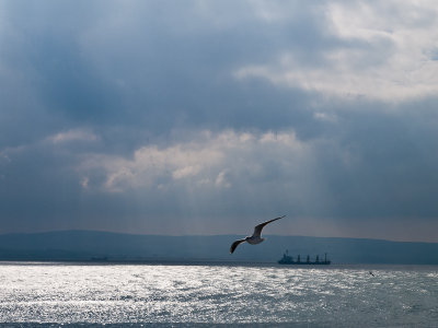 Crossing the Dardanelles - Stefan