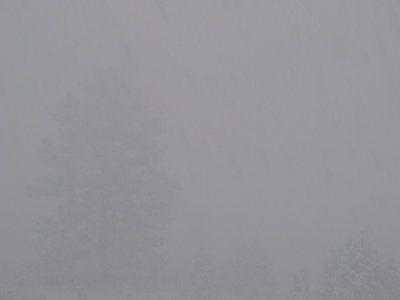 BW Film Look, Snow Storm - Henry