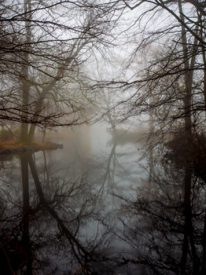 Misty Foggy Fall Rain - Brad
