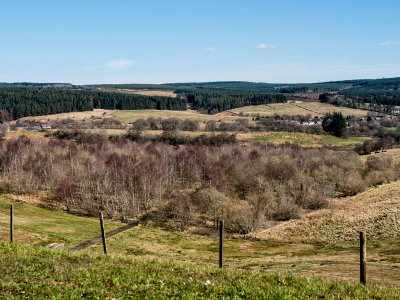 Spring in North Tyne Valley - Michael