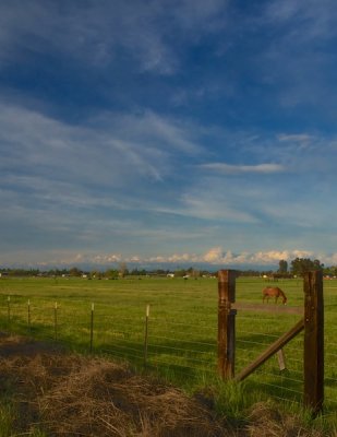 My Back Yard by John