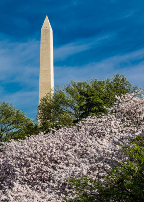 Washington Monument - Stefan