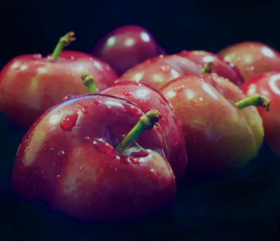 First PLUM Bounty by John