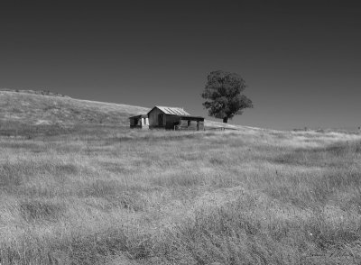 Abandoned farmhouse_ by Dennis