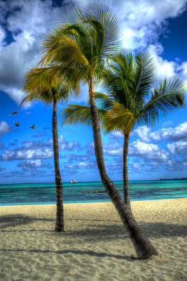 Bahama Breeze by Paul Wear