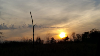 A Chilly Sunset-Shirley 