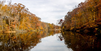 Autumn Pond - Brad