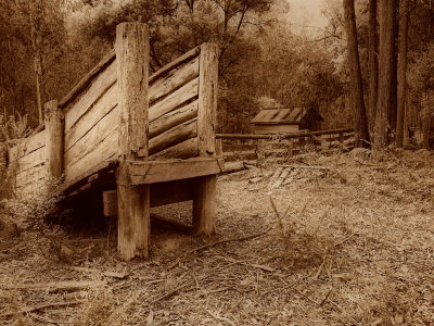 Old cattle yards _ by Dennis