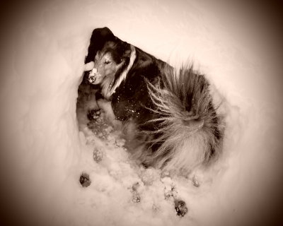 Max in the tunnel -ArtP