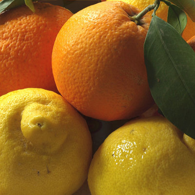 oranges & lemons . . .  - Barry
