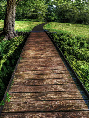 The Path by Paul Wear
