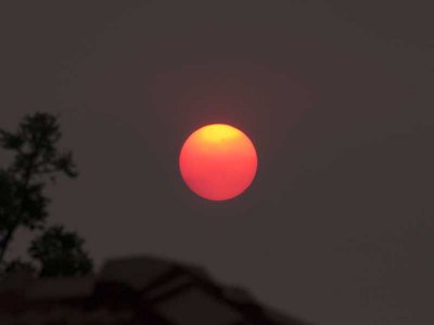 Smokey sunset - Rick