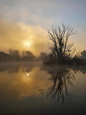 2nd place: Misty morning on the pond