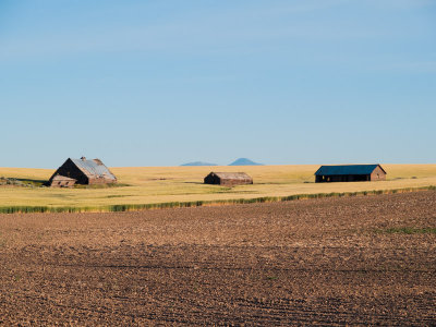 Summer Fallow. by Henry