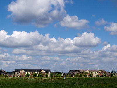 Beautiful Day in the Neighborhood-Shirley 