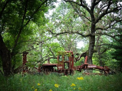 An Old Relic Grader-Shirley 