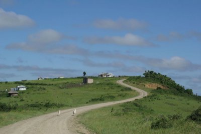 dwesat018.jpg
