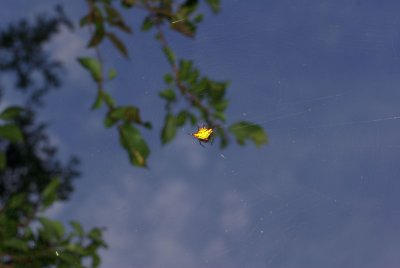 dwesat034.jpg