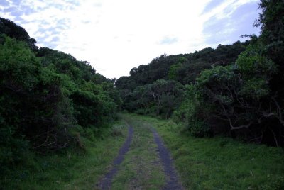 dwesat044.jpg
