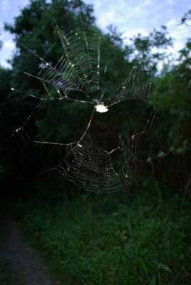 dwesat045.jpg