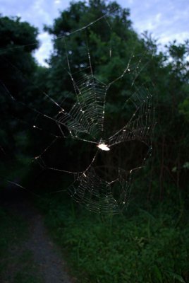 dwesat046.jpg